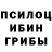 Галлюциногенные грибы Cubensis Mkas Vcb