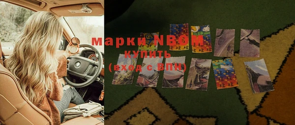 гидропоника Бородино