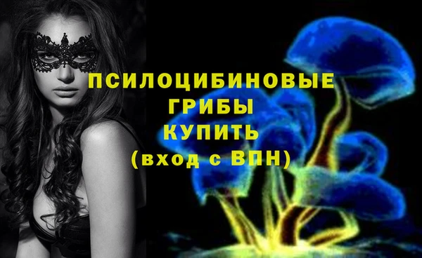 ECSTASY Бугульма