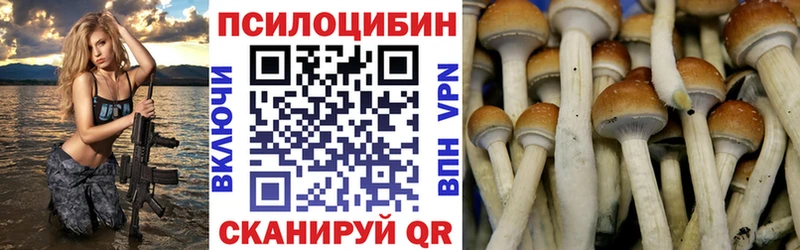 hydra как войти  Новоульяновск  Псилоцибиновые грибы Magic Shrooms 